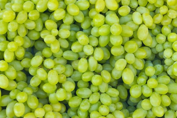 Grapes by Shutterstock.