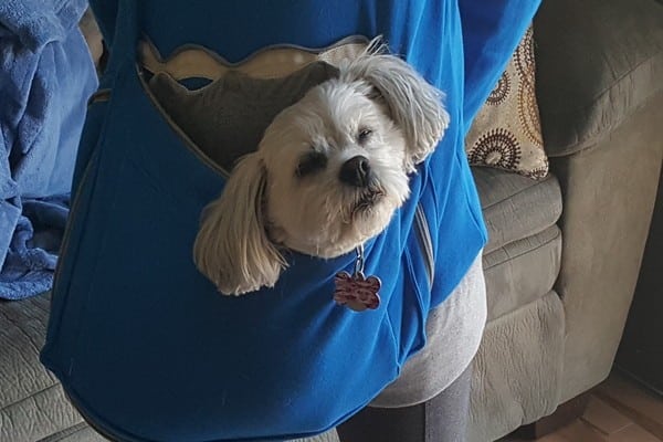 Sophie enjoyed being carried around like the princess we all know she is.