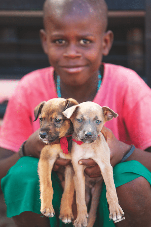A Haitian boy with puppies. (Photo by Alan de Herrera)