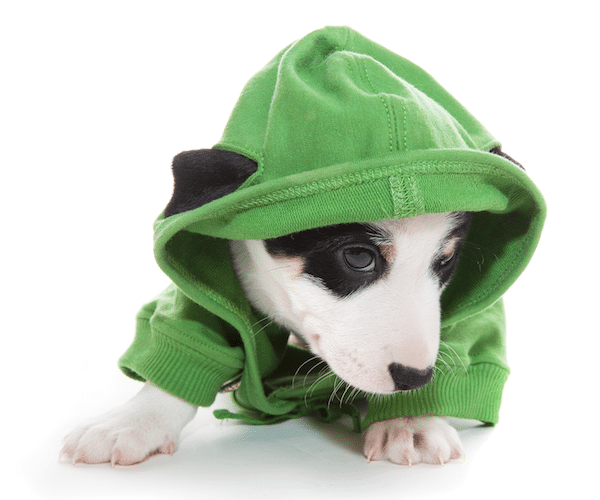 hound hoodie