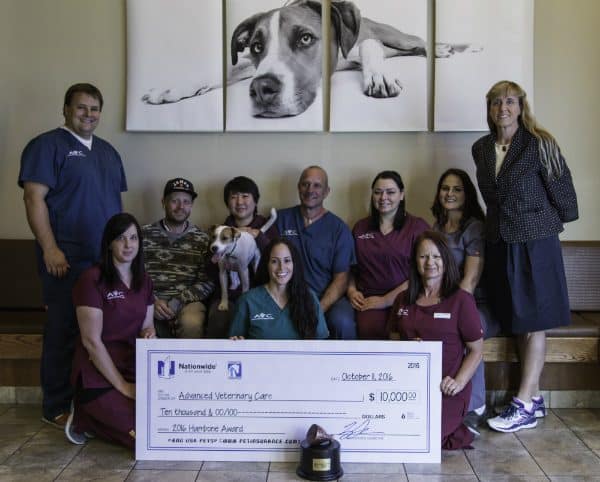Kase, Shu and Kismet with the team at Advanced Veterinary Care. (Photo courtesy Nationwide)