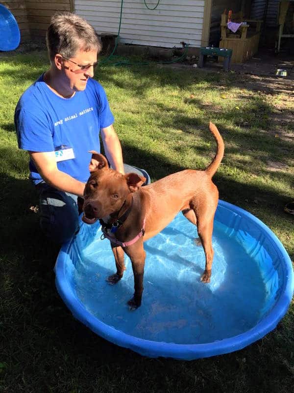 Volunteer Todd and Friends For Life dog Candace take a break from training. (Photo courtesy Friends for Life)