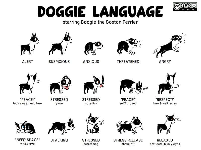 A clip from the "Doggie Language" poster that went viral in 2011. The full thing is available under a Creative Commons license at Lili Chin's website.