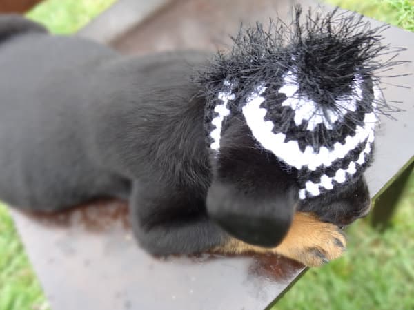 Crochet zebra hat by .