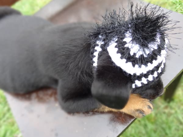 Crochet zebra hat by . 