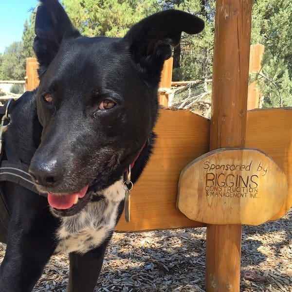 "I"m 11. I do what I want!" Riggins giving a look next to a sign we found in Big Bear, CA. (Photo by Wendy Newell)