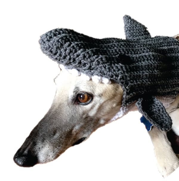 Crocheted shark hat by CrochetYourGrey.