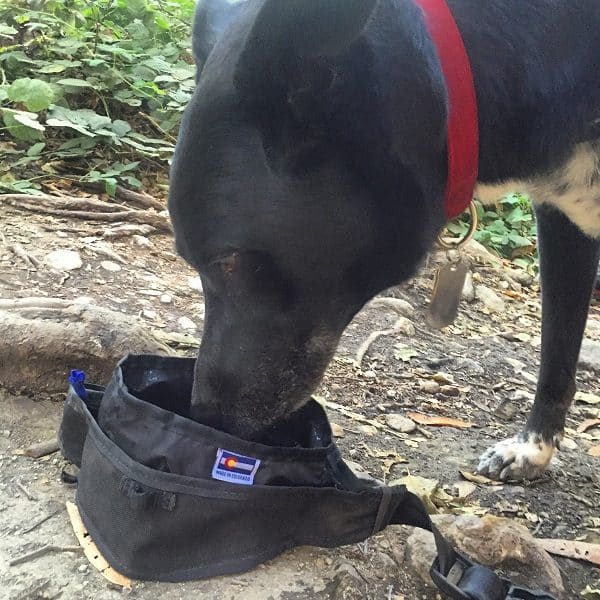 Riggins enjoys a drink or refreshing water from The Grrowler. (Photo by Wendy Newell)