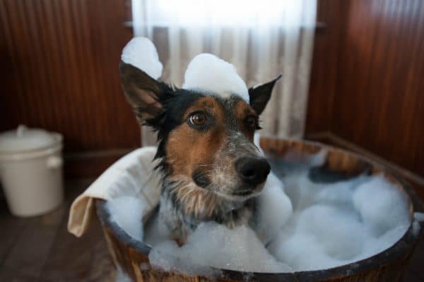 He takes the cake and a bath in his performance as Abbie in In A Valley Of Violence (Photo courtesy Focus World)