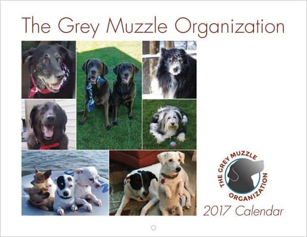 2017_dog_calendar_5