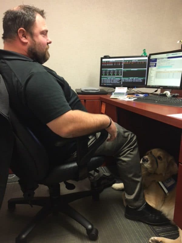 Jed is pretty comfortable in Carl's office. (Photo courtesy Waste Management)