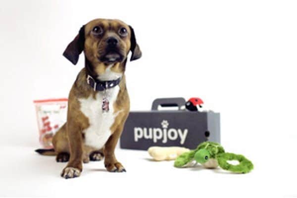 Pupjoy-subscription-box