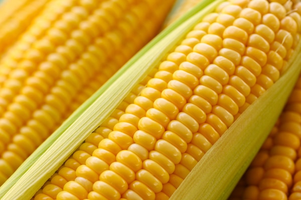 Corn by Shutterstock.