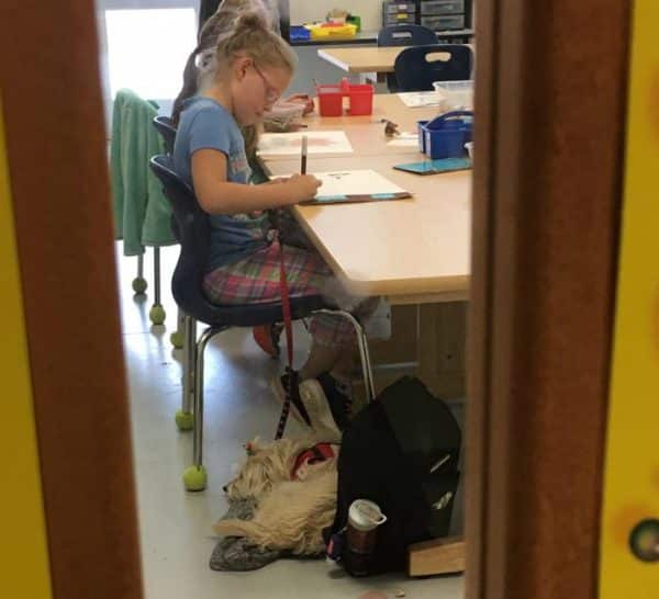 KK works during art class while JJ lays on her jacket. (All photos courtesy Angel Paws for KK on Facebook)
