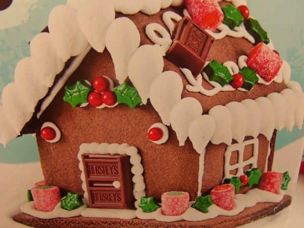 This is what the gingerbread project was SUPPOSED to look like. But no. We just can't have ANYTHING nice in this house, especially during the holidays.