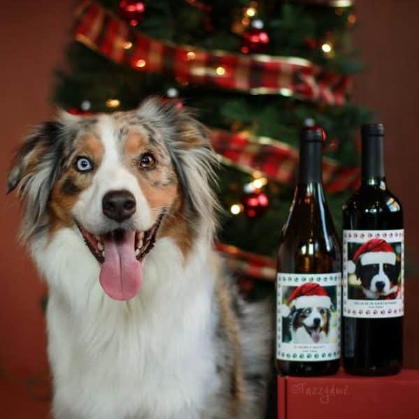 Windsor-Wines-custom-label-benefit-guide-dogs