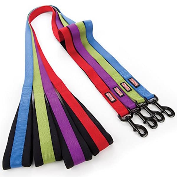 Bungee leash by Kong.