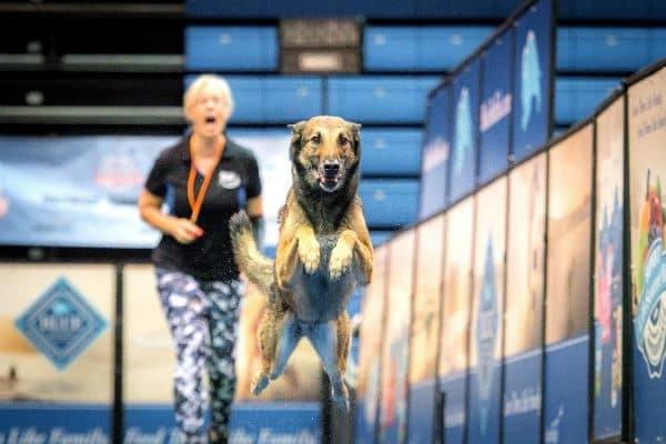 Rex and Lianne at the 2016 DogDogs World Championship. (Photo by Kim Nygard, courtesy DockDogs)