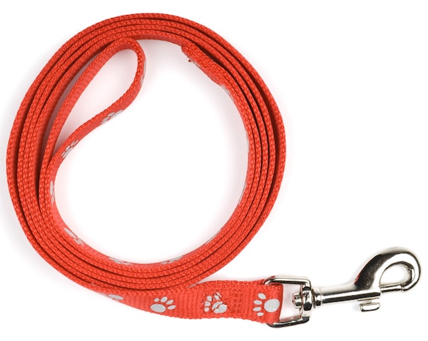 Leash by Shutterstock.