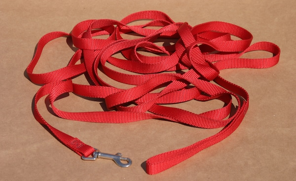 Long line leash by Shutterstock.