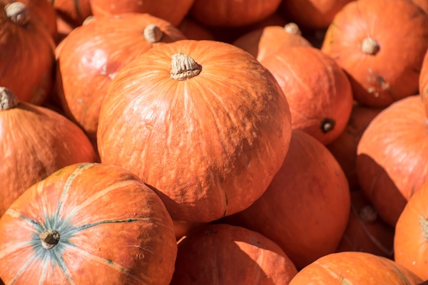 Pumpkins by Shutterstock.