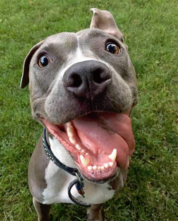 Cody and his big smile. (Photo courtesy Nancy Hassel)