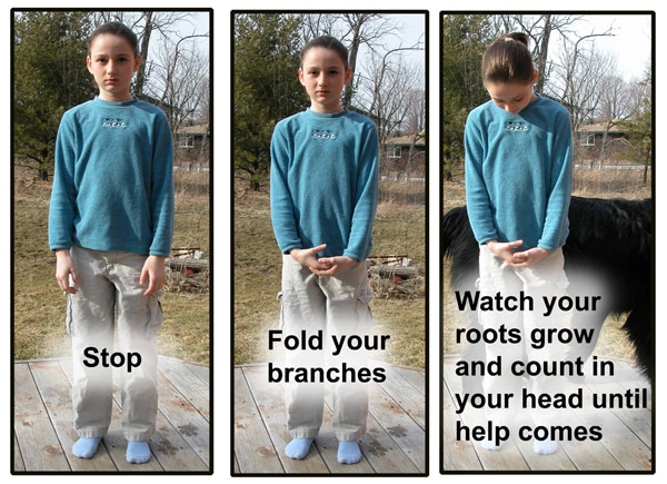 Be a Tree. (Image courtesy Doggone Crazy)