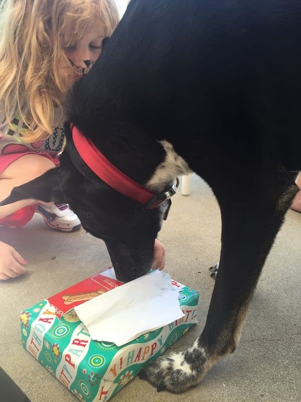 Riggins 10th b-day party. (Photo by Wendy Newell)