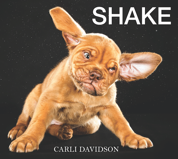 Expert animal photographer and best-selling author Carli Davidson’s collective works are a wonderful look at the hilarity of dogs bound to entertain all dog lovers. Both Shake and Shake Puppies are New York Times Bestsellers.