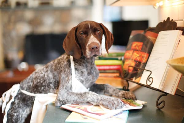 Doggie chef by iStock.