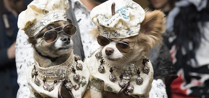 fashion lifestyle