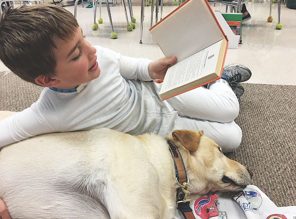 A Roxy Reading Therapy Dog at work. (Photo courtesy Roxy Reading Therapy Dogs)