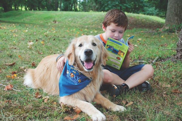 how to your to be a therapy pet dogs dogster how to your to be a therapy pet dogs dogster