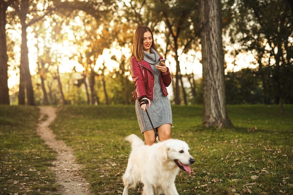 Woman texting while walking dog by Shutterstock
