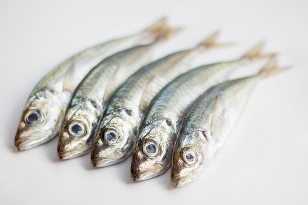 Sardines by Shutterstock.