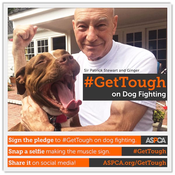 Patrick Stewart and his foster dog, Ginger, are part of the ASPCA's #GetTough campaign. (Photo courtesy ASPCA)