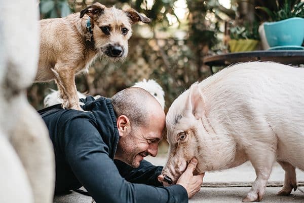 Actor Jonathan Slavin with one of his rescue dogs — and his rescue pig. 