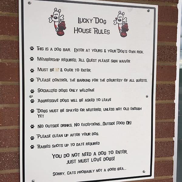 Lucky Dog’s house rules say you don’t need a dog to enter, you just need to love dogs. 
