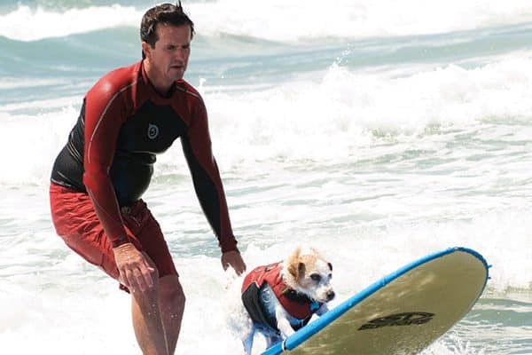 A man surfing with his dog in San Diego, CA.