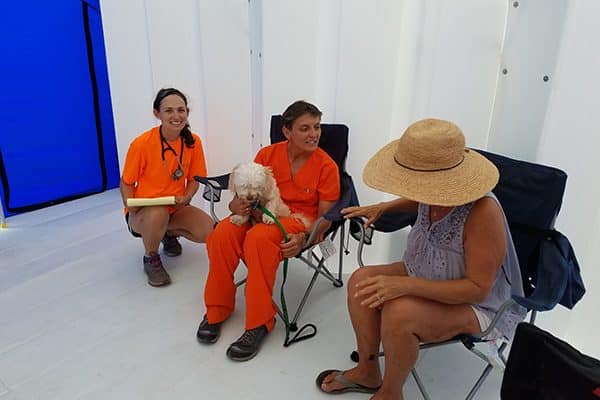 Dr. May-li Cuypers, center, a volunteer with the UF VETS disaster response team, listens to a dog owner explain its condition during the team’s deployment in Key West.