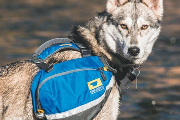 Mountainsmith Dog Pack.