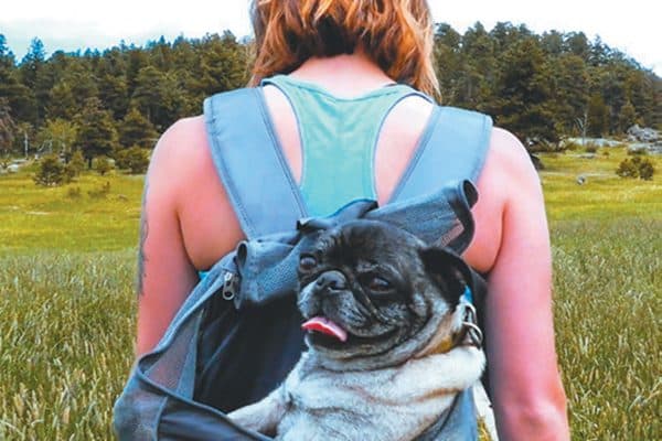 Outward Hound dog backpack.