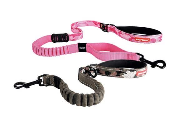 Zero Shock Leash.