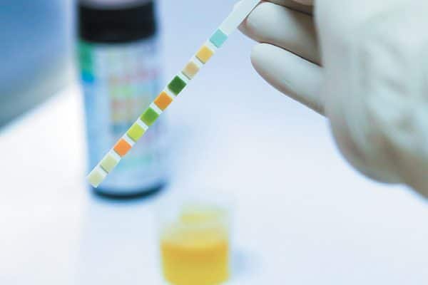 If you suspect any of these urinary diseases in dogs, take a pee sample!