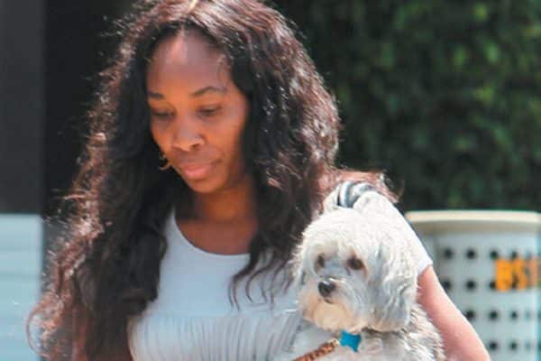 Venus Williams with her Havanese dog.