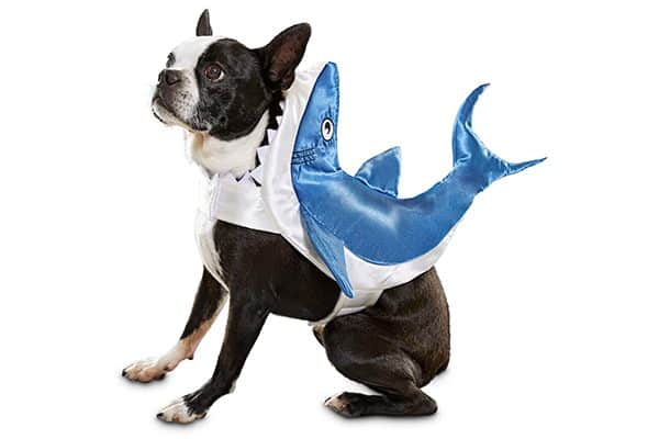 Dog Shark Costume.