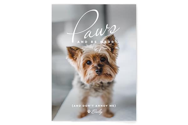 Minted's holiday cards are perfect for dog lovers. 