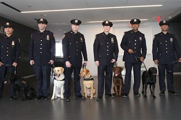 Vapor Wake dogs go through extensive training. 