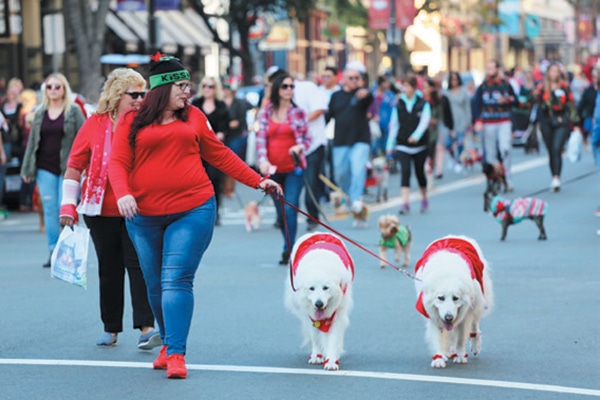Gaslamp Holiday Pet Parade. 