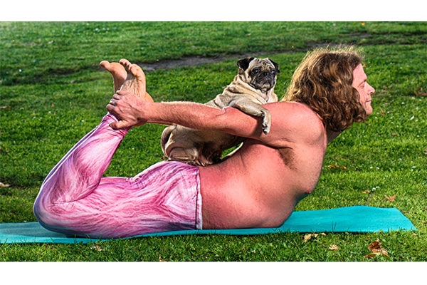 PugYoga. 